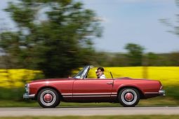 1964 Mercedes-Benz W113 230SL/250SL/280SL